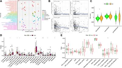 Identification of hub genes related to CD4+ memory T cell infiltration with gene co-expression network predicts prognosis and immunotherapy effect in colon adenocarcinoma